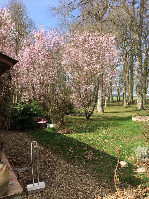Logis De La Paqueraie Bed & Breakfast Saint-Branchs Exterior photo